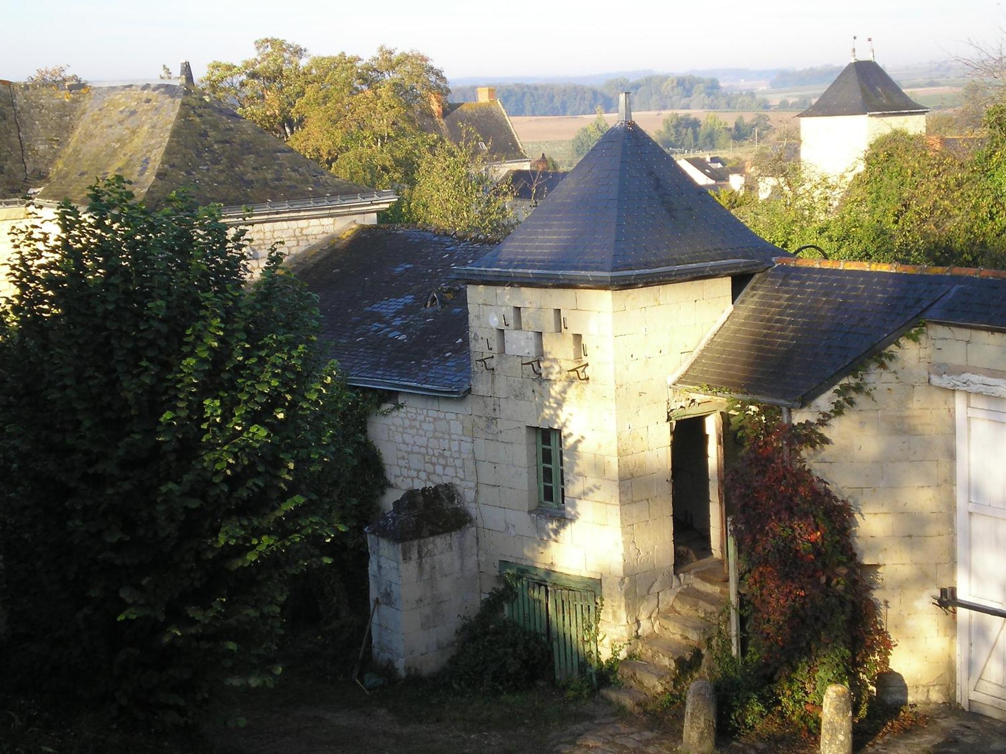 Bed and Breakfast Manoir De Boisairault Le Coudray-Macouard Экстерьер фото