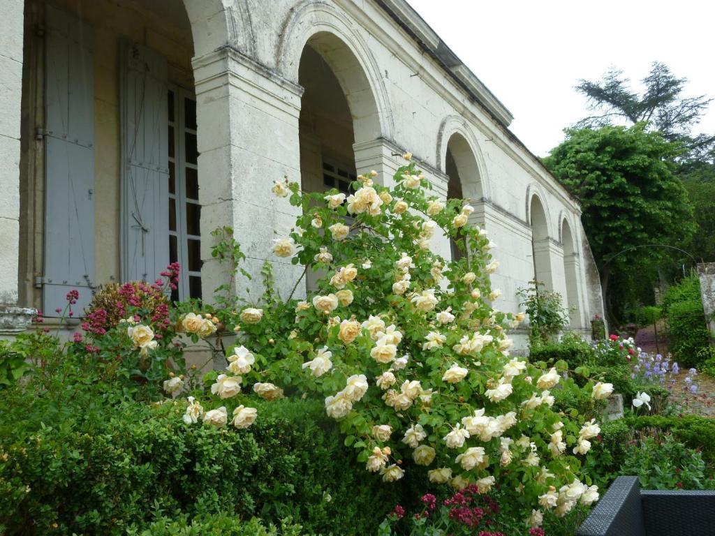 Bed and Breakfast Manoir De Boisairault Le Coudray-Macouard Экстерьер фото