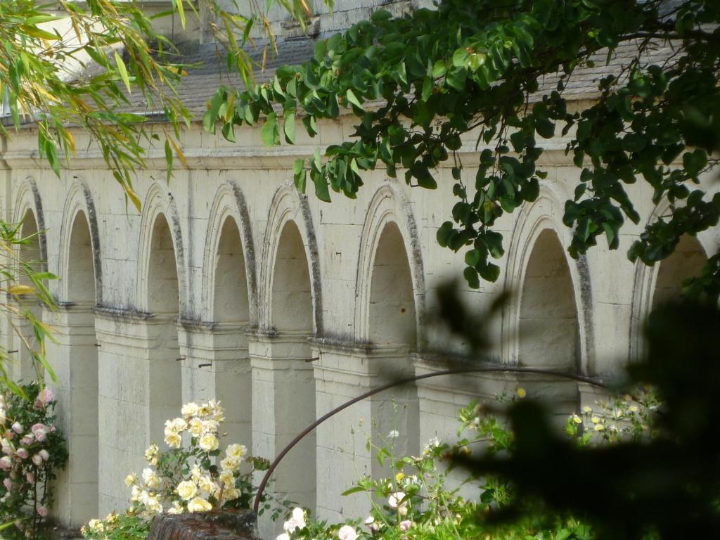 Bed and Breakfast Manoir De Boisairault Le Coudray-Macouard Экстерьер фото