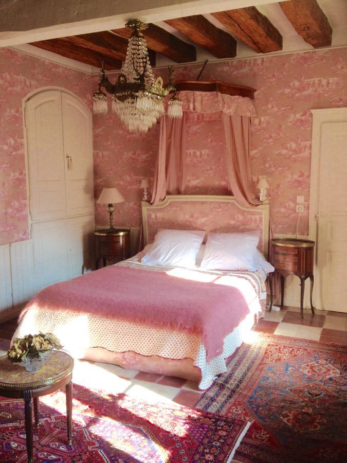 Bed and Breakfast Manoir De Boisairault Le Coudray-Macouard Экстерьер фото